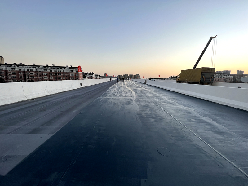 郎溪路(裕溪路-明皇路)工程一標:奮戰東城再提速 奮楫揚帆啟新程 (5)