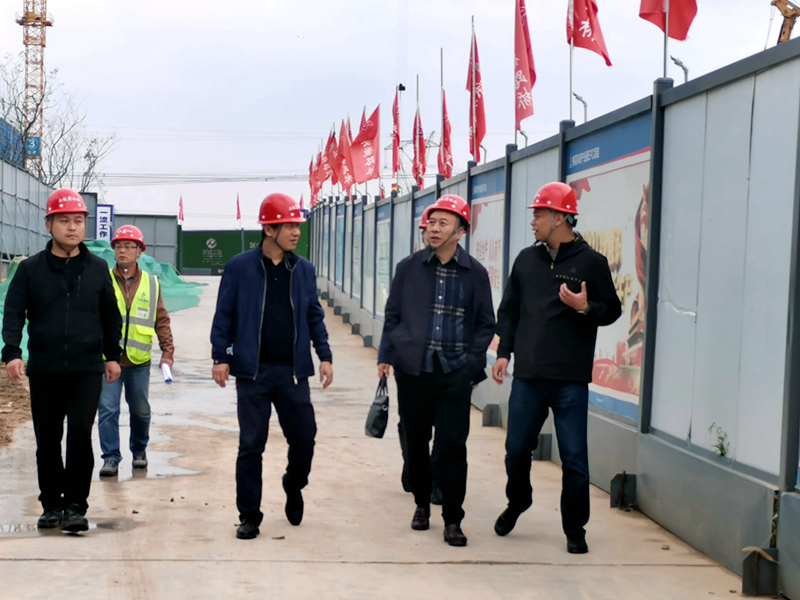 建工控股黨委委員、紀委書記、監察專員王汪苗到桃花科創產業園項目調研督導工作3